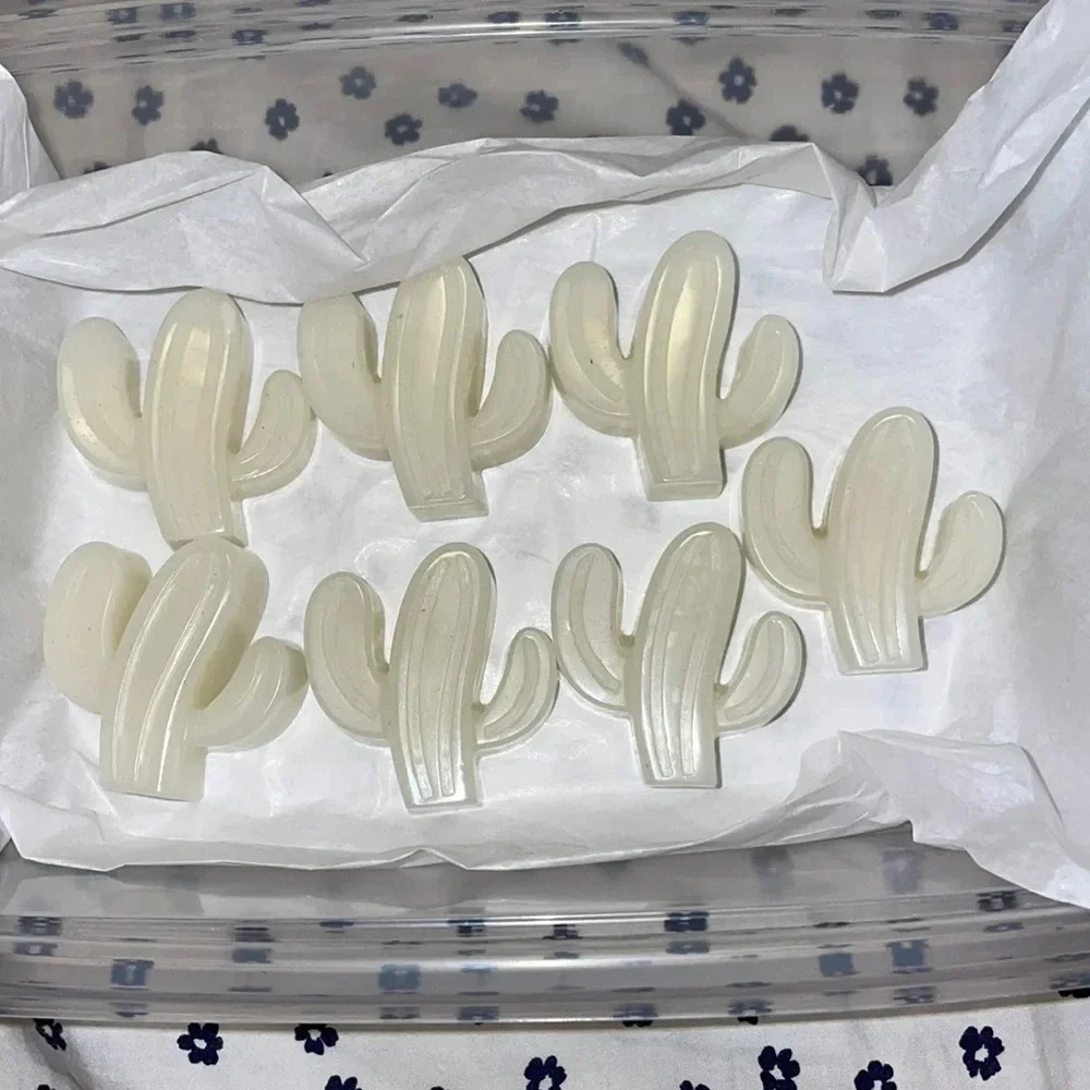 7 Handmade Eucalyptus Mint Cactus Candle Melts